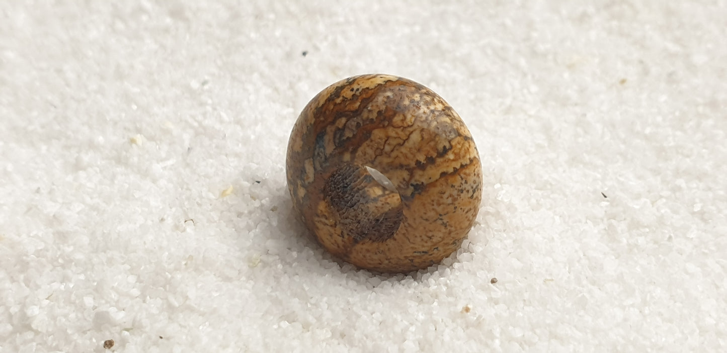 BRAUNER BILDJASPIS Naturstein Dreadschmuck / Dread Perle / Flecht Perle aus Feldspathquarz